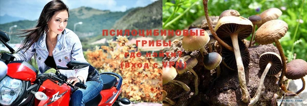 меф Белокуриха