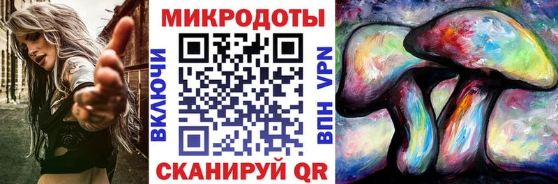 MEGA ссылки  как найти закладки  Гудермес  Галлюциногенные грибы Psilocybine cubensis 