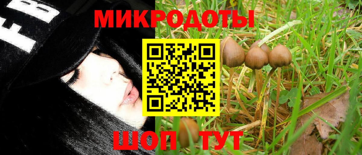 Галлюциногенные грибы ЛСД Гудермес