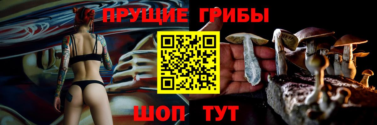 Гудермес  Псилоцибиновые грибы Psilocybine cubensis  Вход с VPN  Галлюциногенные грибы Psilocybe 